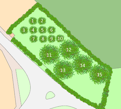 orchard planting plan